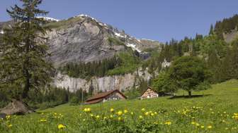 Alp Walabütz Alp Walabütz