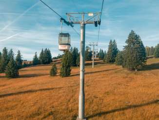 Children, walk, golden fall, fun, experience