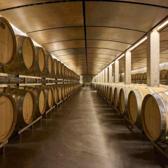 Wine cellar Davaz Winery © Davaz Winery
