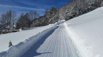 Schrina toboggan run
