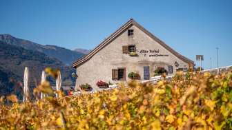 Old Torkel in the Fall