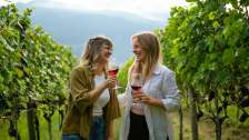 Fläsch, backpack wine tasting, Bündner Herrschaft, Maienfeld, wine drinking, picnic backpack, wine tasting, fall