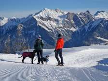 Pizol, snow, walking floors, dog, winter hiking, alphorn group Pardiel