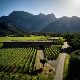 Davaz Winery © Davaz Winery