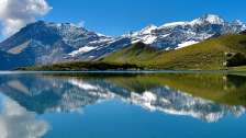 Summer Mountain Adventures, Calfeisental, Animals