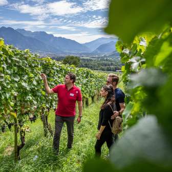 Visit to the vineyards © Wine Tours Switzerland