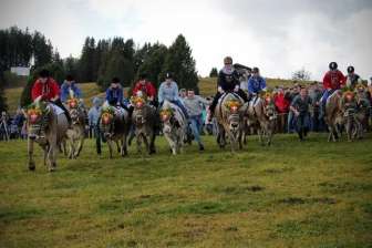 Flumserberg Alpine Cheese Market and Cow Race d093156a