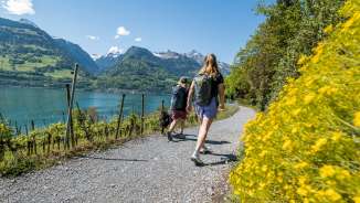 2025, trees, mountains, blue, flowers, friends, spring, water, green, dog, dog leash, Quinten, lake, forest, Lake Walen, hiking, water, path, clouds