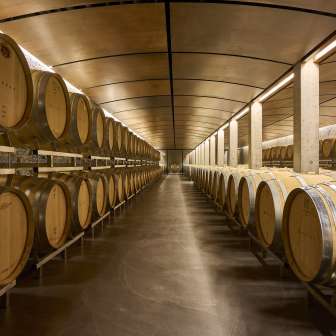 Wine cellar Davaz Winery © Davaz Winery