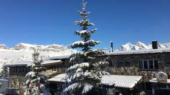 Hotel-Restaurant-Holiday home ALTE SEKTION