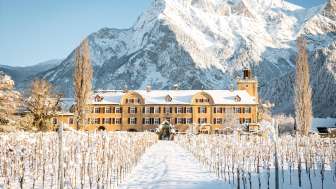 Salenegg Castle Winery