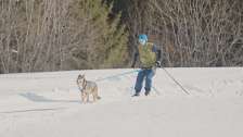 Cross-country skier with dog in skating style