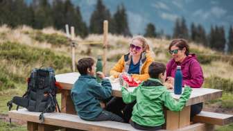 cloudy, family picnic, barbecuing, barbecue area, children, picnic, Rohan red deer