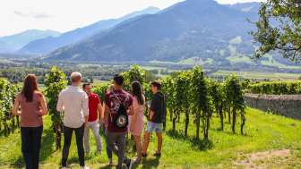 Bookable experiences wine tour