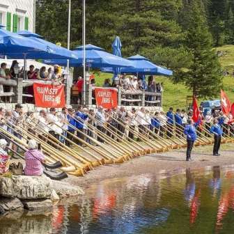 Alphorn meeting