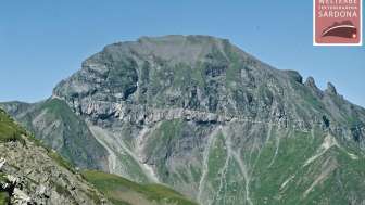 Foostock and Foopass area