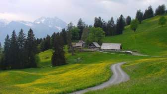 Alp Schrina Alp Schrina
