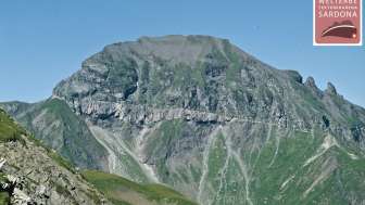 Foostock and Foopass area