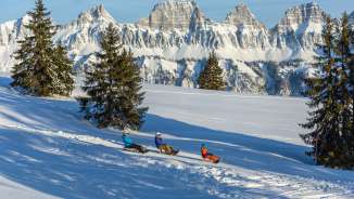 Tobogganing on the Flumserberg Prodalp, sledging, friends, sledge run, downhill run