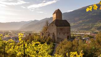 Vineyard_Sargans vineyard, Sargans, wine, Sargans Castle, St.Gallen wine, grapes, Gonzen