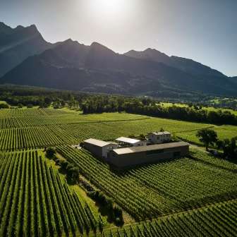 Davaz Winery © Davaz Winery