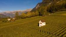 Heiligkreuz, Mels, vines, St.Gallen wine, vineyard