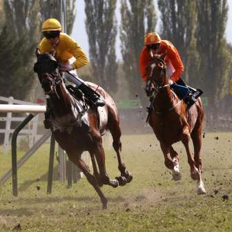 Horse racing 3