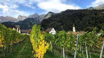 Jürg Obrecht Wines Jenins